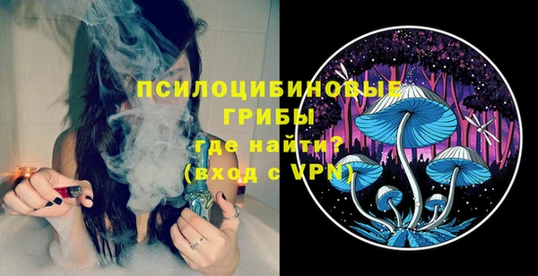 прущие грибы Козловка