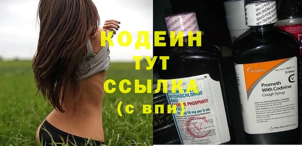 прущие грибы Козловка
