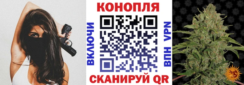 Бошки Шишки сатива Макаров